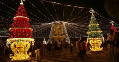 Árvore do Largo São Sebastião será iluminada em 1º de dezembro e abrirá programação natalina