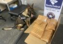Receita apreende 97 kg de droga no Aeroporto de Manaus; funcionário de empresa aérea é investigado