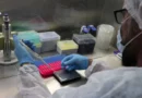Boletim indica que Amazonas segue sem registros de novos casos de Mpox
