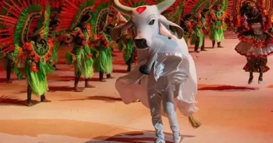 Boi-Bumbá Garantido Conquista 33º Título e é Campeão do Festival de Parintins