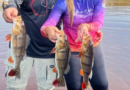 Temporada de pesca esportiva inicia em agosto no Amazonas