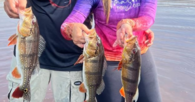 Temporada de pesca esportiva inicia em agosto no Amazonas