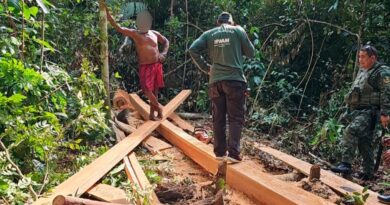 Governo do Amazonas aplica R$ 427,8 mil em multas durante Operação Rio Negro contra crimes ambientais