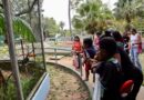 Prefeitura colabora com passeio promovido às crianças do Grupo Raio de Sol ao zoológico