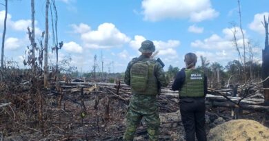 Mais de R$ 90 mil em multas por crimes ambientais são aplicadas na RMM