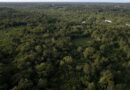 Começa nesta terça a “Pré-COP dos Povos e Comunidades Tradicionais” com debates sobre o futuro da Amazônia