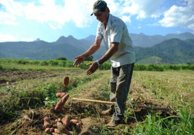 BNDES vai liberar R$ 12 bi para produtores rurais com perdas de safra