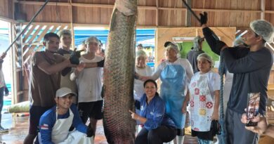Em Maraã, pescadores realizam primeira pesca de pirarucu manejado