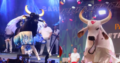 Caprichoso e Garantido levam Festival de Parintins ao Natal do Rio de Janeiro