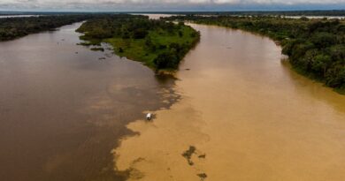 Manaus abre 2026 no ‘Top 5’ dos melhores destinos para viajar no Brasil