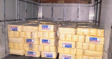 Visa Manaus apreende duas toneladas de queijo vencido em comércio na zona Centro-Oeste da cidade