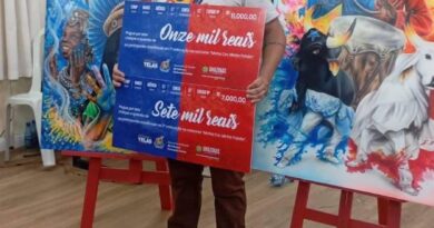 Artista de Maués vence concurso que define cartaz oficial do Festival de Parintins