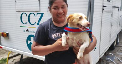 Prefeitura abre vagas para castração de cães e gatos no CCZ Manaus nesta quarta-feira