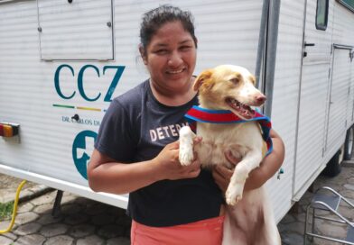 Prefeitura abre vagas para castração de cães e gatos no CCZ Manaus nesta quarta-feira