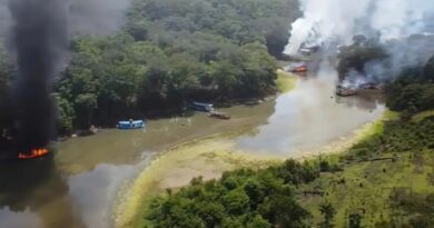 MPF denuncia à Comissão Interamericana violações estruturais com mineração ilegal na Amazônia