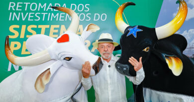 Petrobras amplia investimento no Festival de Parintins e fortalece construção dos espetáculos de Caprichoso e Garantido