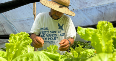 Investimentos impulsionam setor primário e transformam realidade do trabalhador rural no Amazonas