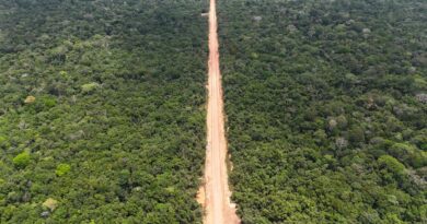 Ibama libera licença para pontes de concreto no Trecho do Meio da BR-319
