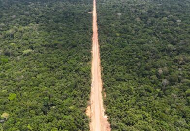 Ibama libera licença para pontes de concreto no Trecho do Meio da BR-319