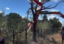 Helicóptero da dupla Henrique e Juliano cai em fazenda no Tocantins