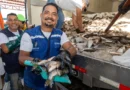 Prefeitura de Manaus distribui cerca de 45 mil jaraquis nas zonas Leste e Oeste