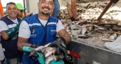 Prefeitura de Manaus distribui cerca de 45 mil jaraquis nas zonas Leste e Oeste