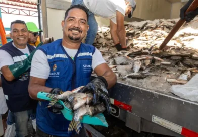Prefeitura de Manaus distribui cerca de 45 mil jaraquis nas zonas Leste e Oeste