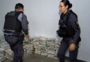 Polícia apreende 774 tabletes de maconha no bairro Cidade de Deus