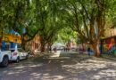 Projeto da ‘Rua Gastronômica’ preservará árvores da Ferreira Pena e valorizará corredor verde no centro de Manaus