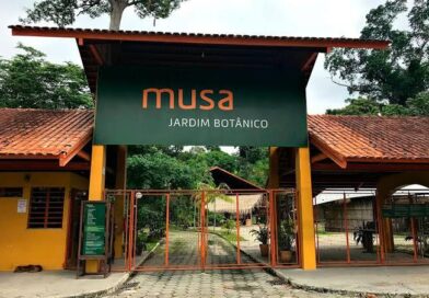 Museu Botânico do Amazonas: história revela desafio de transformar biodiversidade em desenvolvimento