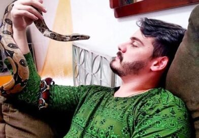 Brasil é terceiro do mundo no ramo de animais silvestres e exóticos