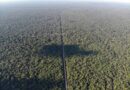 BR-319: governo federal aponta avanços para asfaltamento da rodovia no Amazonas