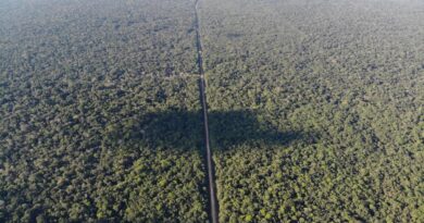 BR-319: governo federal aponta avanços para asfaltamento da rodovia no Amazonas