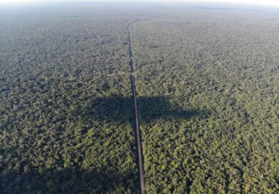 BR-319: governo federal aponta avanços para asfaltamento da rodovia no Amazonas