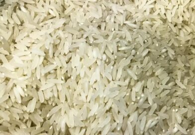 Terremoto: Brasil doará 10 toneladas de arroz à Colômbia