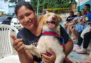 Prefeitura de Manaus abre agendamento on-line para castração de cães e gatos no castramóvel Caramelo