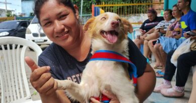 Prefeitura de Manaus abre agendamento on-line para castração de cães e gatos no castramóvel Caramelo