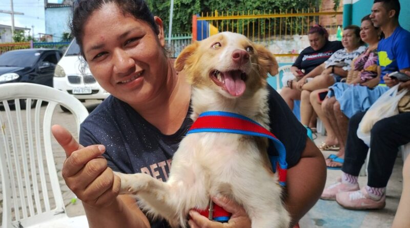 Prefeitura de Manaus abre agendamento on-line para castração de cães e gatos no castramóvel Caramelo