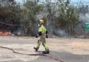 Incêndio volta a atingir área de vegetação no Distrito Industrial II, em Manaus