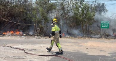 Incêndio volta a atingir área de vegetação no Distrito Industrial II, em Manaus