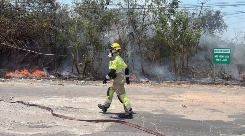 Incêndio volta a atingir área de vegetação no Distrito Industrial II, em Manaus
