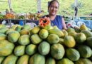 ADS divulga calendário das Feiras de Produtos Regionais em Manaus