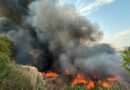 Incêndio de grandes proporções atinge área de vegetação e lixo no Distrito Industrial