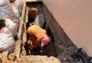 Prefeitura de Manaus recupera rede de drenagem na rua Ademar de Barros, no bairro Flores
